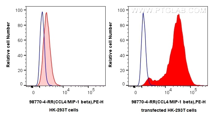 FC experiment of Transfected HEK-293T using 98770-4-RR (same clone as 98770-4-PBS) Flow cytometry (FC) experiment of Transfected HEK-293T cells using Anti-Rat CCL4/MIP-1 beta Rabbit Recombinant Antibo (98770-4-RR)