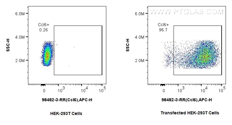 Flow cytometry (FC) experiment of Transfected HEK-293T cells using Anti-Mouse CCL6 Rabbit Recombinant Antibody (98482-3-RR)