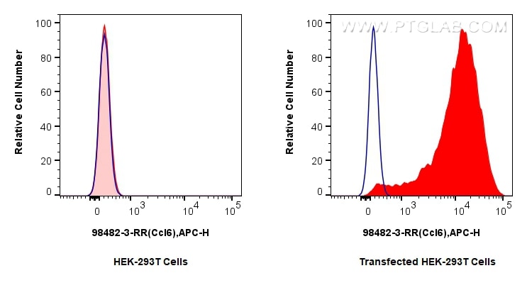 Flow cytometry (FC) experiment of Transfected HEK-293T cells using Anti-Mouse CCL6 Rabbit Recombinant Antibody (98482-3-RR)