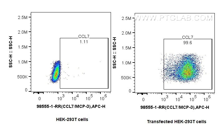 1x10^6 HEK-293T cells or CCL7/MCP-3 transfected HEK-293T cells were intracellularly stained with 0.25 ug Anti-Mouse CCL7/MCP-3 Rabbit RecAb (98555-1-RR, Clone: 250662G6) and APC-Conjugated Goat Anti-Rabbit IgG(H+L). Cells were fixed with Intracellular Flow Cytometry Fixation & Permeabilization Buffer Kit (PF00019). This data was developed using the same antibody clone with 98555-1-PBS in a different storage buffer formulation. Flow cytometry (FC) experiment of Transfected HEK-293T cells using Anti-Mouse CCL7/MCP-3 Rabbit Recombinant Antibody (98555-1-RR)