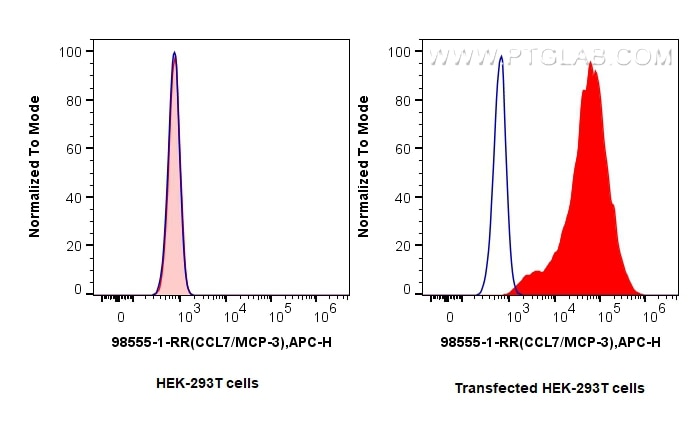 1x10^6 HEK-293T cells or CCL7/MCP-3 transfected HEK-293T cells were intracellularly stained with 0.25 ug Anti-Mouse CCL7/MCP-3 Rabbit RecAb (98555-1-RR, Clone:250662G6) (red) or 0.25 ug Rabbit IgG Isotype Control RecAb (98136-1-RR, Clone: 240953C9) (blue), and APC-Conjugated Goat Anti-Rabbit IgG(H+L). Cells were fixed with Intracellular Flow Cytometry Fixation & Permeabilization Buffer Kit (PF00019). This data was developed using the same antibody clone with 98555-1-PBS in a different storage buffer formulation. Flow cytometry (FC) experiment of Transfected HEK-293T cells using Anti-Mouse CCL7/MCP-3 Rabbit Recombinant Antibody (98555-1-RR)