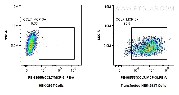 Flow cytometry (FC) experiment of Transfected HEK-293T cells using PE Anti-Mouse CCL7/MCP-3 Rabbit Recombinant Antibo (PE-98555)