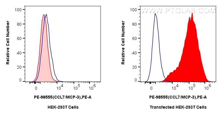 Flow cytometry (FC) experiment of Transfected HEK-293T cells using PE Anti-Mouse CCL7/MCP-3 Rabbit Recombinant Antibo (PE-98555)