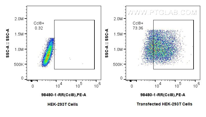 Flow cytometry (FC) experiment of Transfected HEK-293T cells using Anti-Mouse CCL8/MCP-2 Rabbit Recombinant Antibody (98480-1-RR)