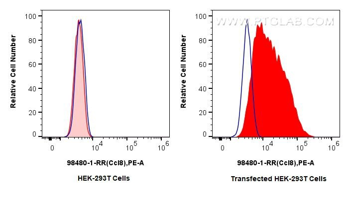 Flow cytometry (FC) experiment of Transfected HEK-293T cells using Anti-Mouse CCL8/MCP-2 Rabbit Recombinant Antibody (98480-1-RR)