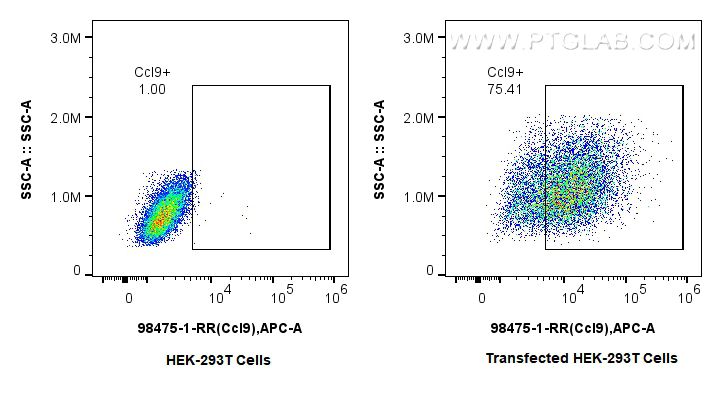Flow cytometry (FC) experiment of Transfected HEK-293T cells using Anti-Mouse CCL9 Rabbit Recombinant Antibody (98475-1-RR)