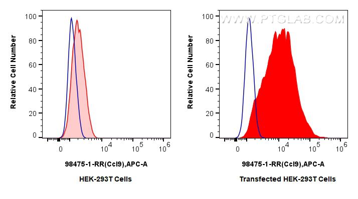 Flow cytometry (FC) experiment of Transfected HEK-293T cells using Anti-Mouse CCL9 Rabbit Recombinant Antibody (98475-1-RR)