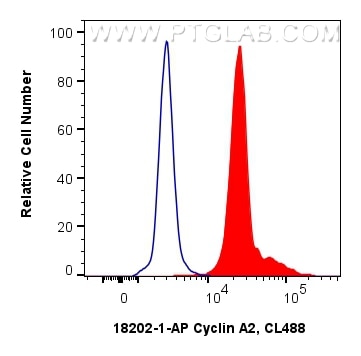 Flow cytometry (FC) experiment of HeLa cells using Cyclin A2 Polyclonal antibody (18202-1-AP)