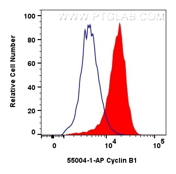 Flow cytometry (FC) experiment of HeLa cells using Cyclin B1 Polyclonal antibody (55004-1-AP)