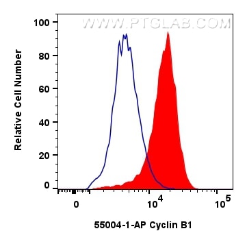 FC experiment of HeLa using 55004-1-AP