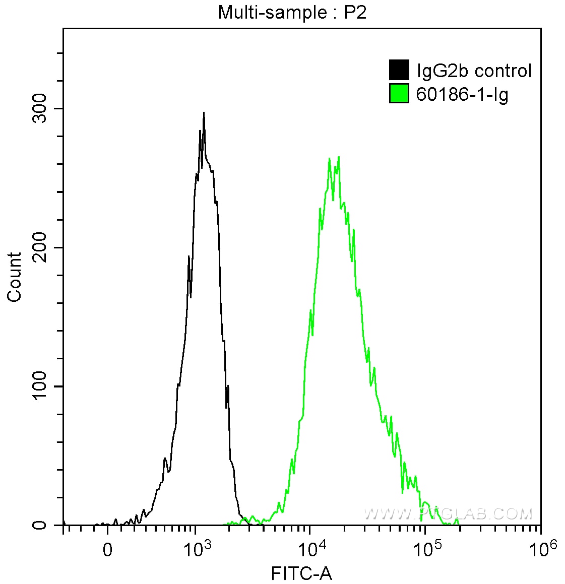 Flow cytometry (FC) experiment of SH-SY5Y cells using Cyclin D1 Monoclonal antibody (60186-1-Ig)