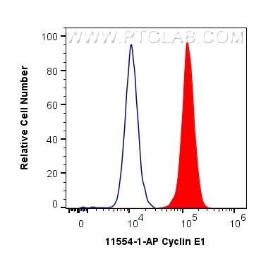 Flow cytometry (FC) experiment of MCF-7 cells using Cyclin E1 Polyclonal antibody (11554-1-AP)