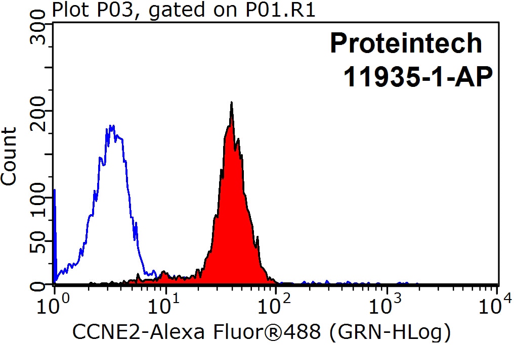 Flow cytometry (FC) experiment of HeLa cells using Cyclin E2 Polyclonal antibody (11935-1-AP)
