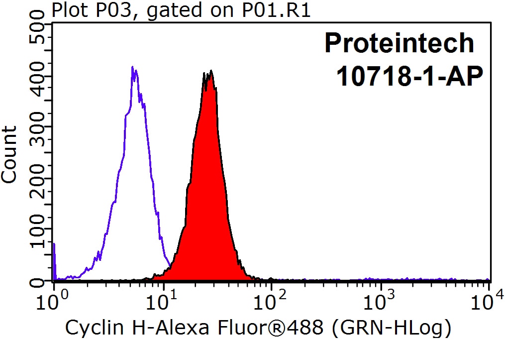 Flow cytometry (FC) experiment of SH-SY5Y cells using Cyclin H Polyclonal antibody (10718-1-AP)