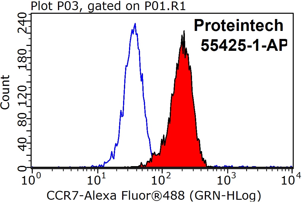 CCR7 Polyclonal antibody