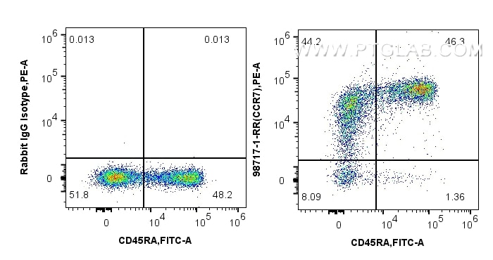 FC experiment of human PBMCs using 98717-1-RR (same clone as 98717-1-PBS) Flow cytometry (FC) experiment of human PBMCs using Anti-Human CCR7 Rabbit Recombinant Antibody (98717-1-RR)