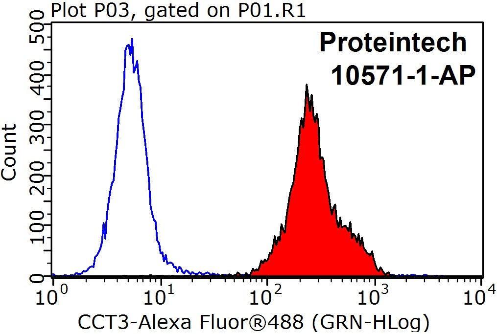 Flow cytometry (FC) experiment of HepG2 cells using CCT3 Polyclonal antibody (10571-1-AP)