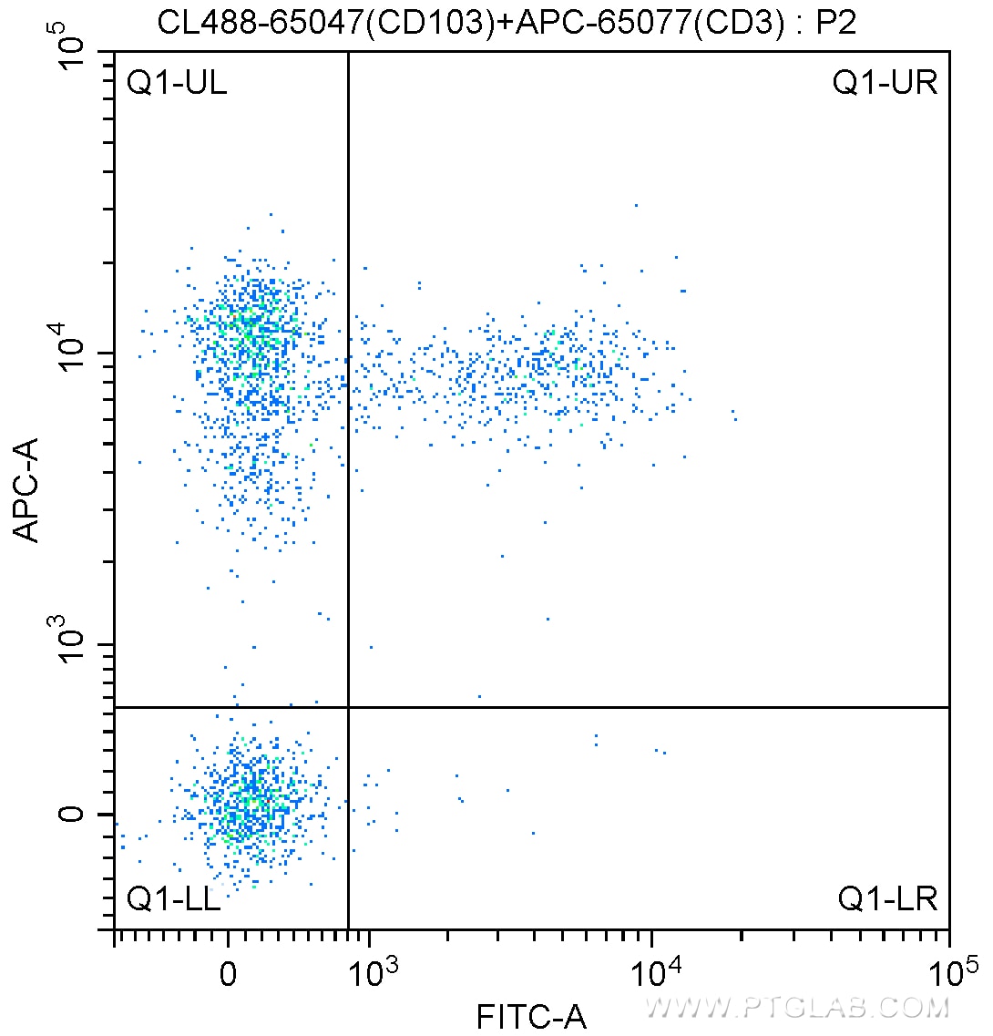 Flow cytometry (FC) experiment of mouse splenocytes using CoraLite® Plus 488 Anti-Mouse CD103 (2E7) (CL488-65047)