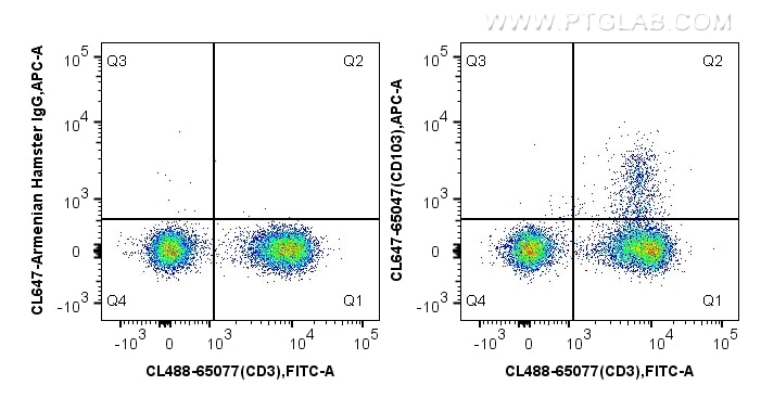 Flow cytometry (FC) experiment of BALB/c mouse splenocytes using CoraLite® Plus 647 Anti-Mouse CD103 (2E7) (CL647-65047)