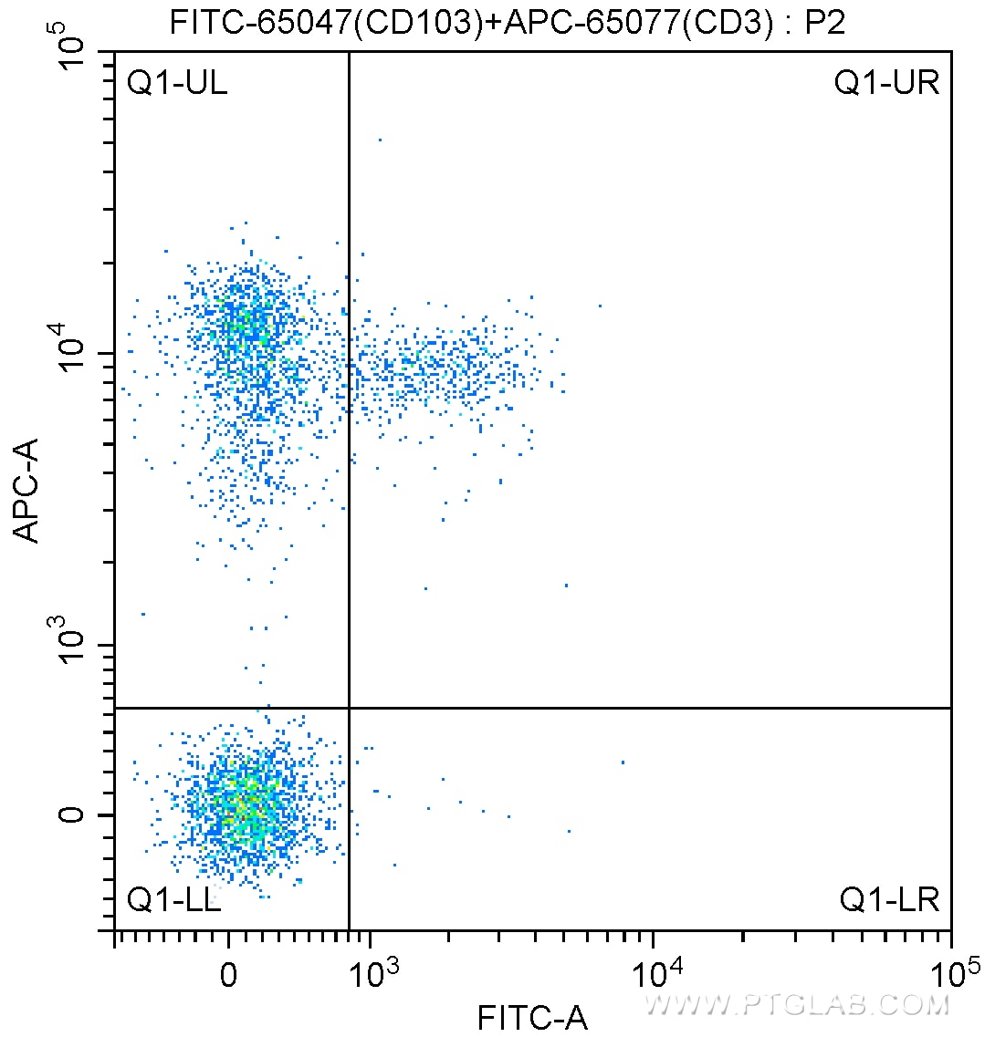 FC experiment of mouse splenocytes using FITC-65047