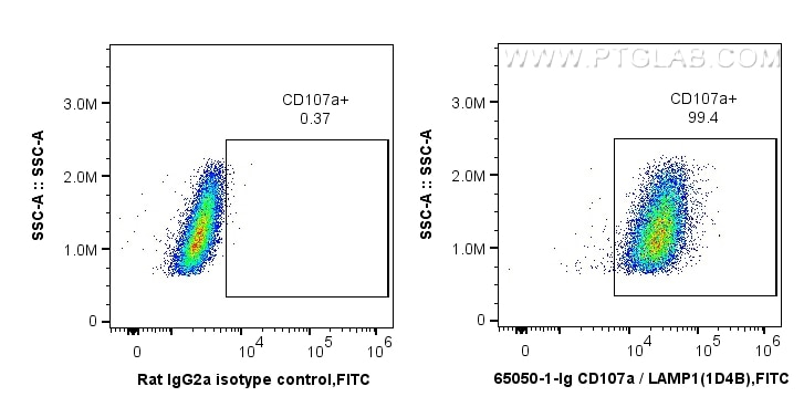 FC experiment of NIH/3T3 using 65050-1-Ig