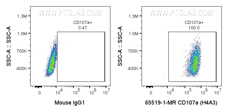 Flow cytometry (FC) experiment of HeLa cells using Anti-Human CD107a (H4A3) (65519-1-MR)