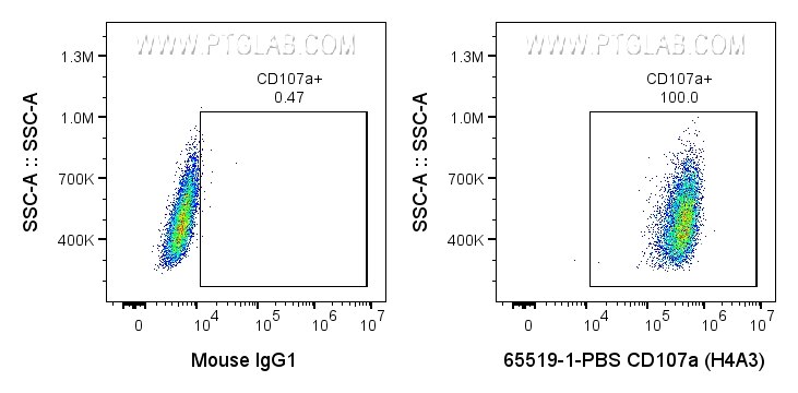 Flow cytometry (FC) experiment of HeLa cells using Anti-Human CD107a (H4A3) (65519-1-PBS)