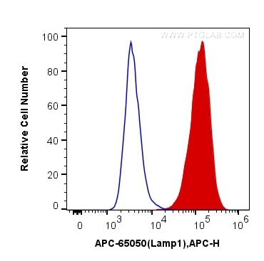 Flow cytometry (FC) experiment of NIH/3T3 cells using APC Anti-Mouse CD107a / LAMP1 (1D4B) (APC-65050)