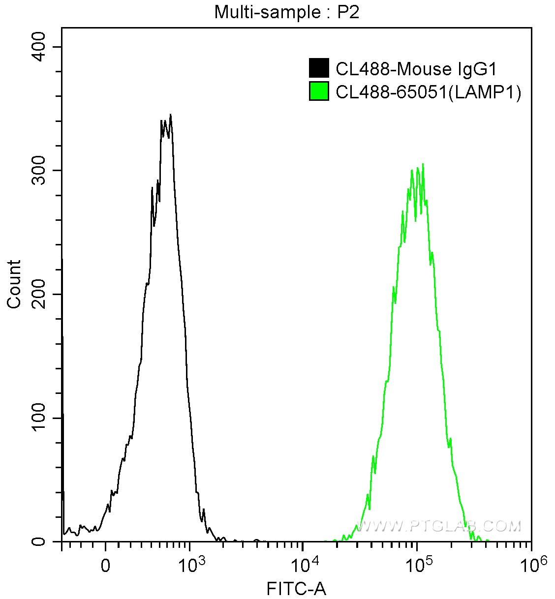 CD107a / LAMP1