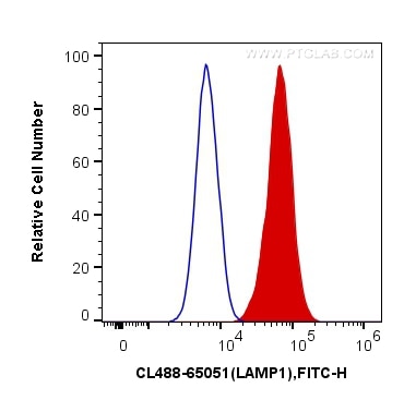 Flow cytometry (FC) experiment of HeLa cells using CoraLite® Plus 488 Anti-Human CD107a / LAMP1 (H4A3 (CL488-65051)