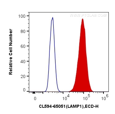 Flow cytometry (FC) experiment of HeLa cells using CoraLite®594 Anti-Human CD107a / LAMP1 (H4A3) (CL594-65051)
