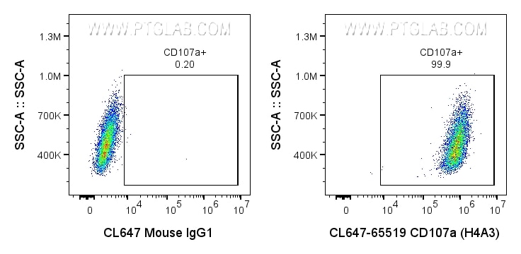 Flow cytometry (FC) experiment of HeLa cells using CoraLite® Plus 647 Anti-Human CD107a (H4A3) Mouse  (CL647-65519)