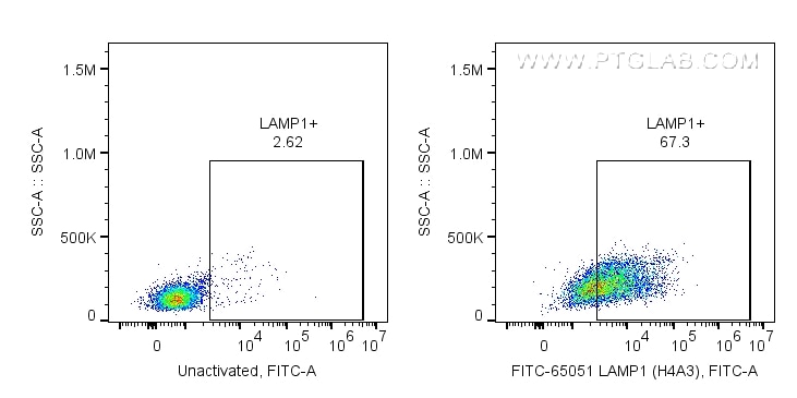 Flow cytometry (FC) experiment of human PBMCs using FITC Anti-Human CD107a / LAMP1 (H4A3) (FITC-65051)