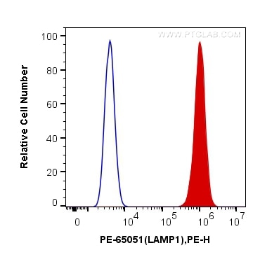 Flow cytometry (FC) experiment of HeLa cells using PE Anti-Human CD107a / LAMP1 (H4A3) (PE-65051)