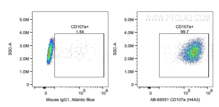 Flow cytometry (FC) experiment of HeLa cells using Atlantic Blue™ Anti-Human CD107a / LAMP1 (H4A3) (AB-65051)