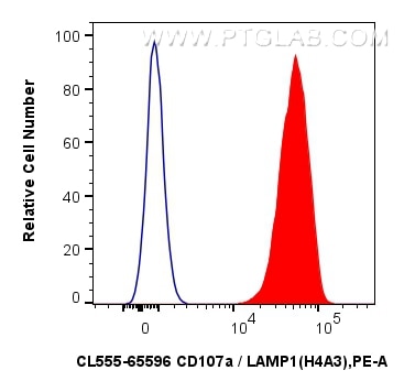 1x10^6 Jurkat cells were intracellularly stained with 5 ul CoraLite® Plus 555 Anti-Human CD107a / LAMP1 (H4A3) Mouse IgG2a RecAb (CL555-65596, Clone: H4A3) (red) or CoraLite® Plus 555 Mouse IgG2a Isotype Control (C1.18.4) (CL555-65208, Clone: C1.18.4) (blue). Cells were fixed and permeabilized with Intracellular Flow Cytometry Fixation & Permeabilization Buffer Kit (PF00019). Flow cytometry (FC) experiment of Jurkat cells using CoraLite® Plus 555 Anti-Human CD107a / LAMP1 (H4A3 (CL555-65596)