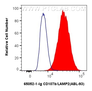 Flow cytometry (FC) experiment of NIH/3T3 cells using Anti-Mouse CD107b / LAMP2 (ABL-93) (65052-1-Ig)