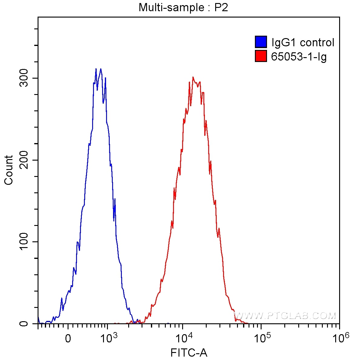 CD107b / LAMP2