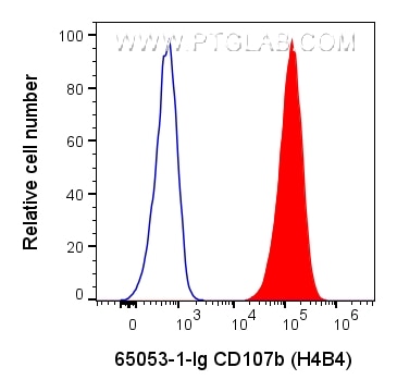 Flow cytometry (FC) experiment of HeLa cells using Anti-Human CD107b / LAMP2 (H4B4) (65053-1-Ig)