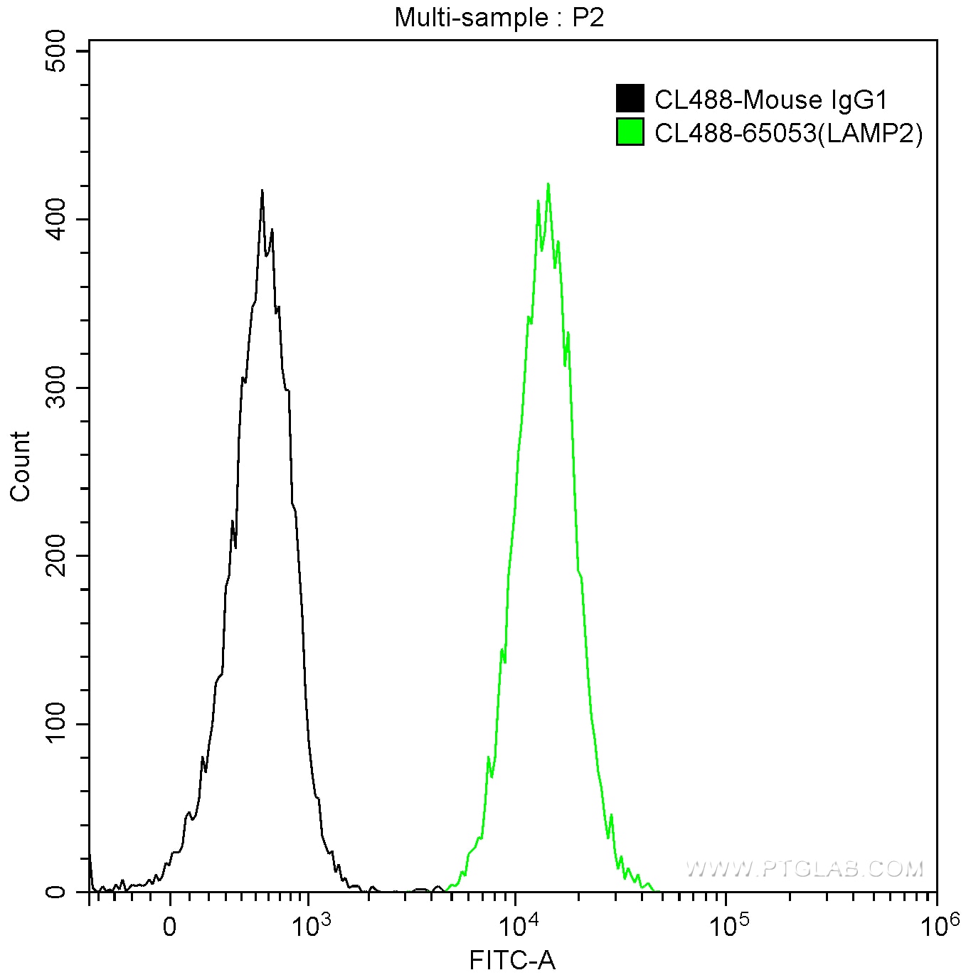 CD107b / LAMP2