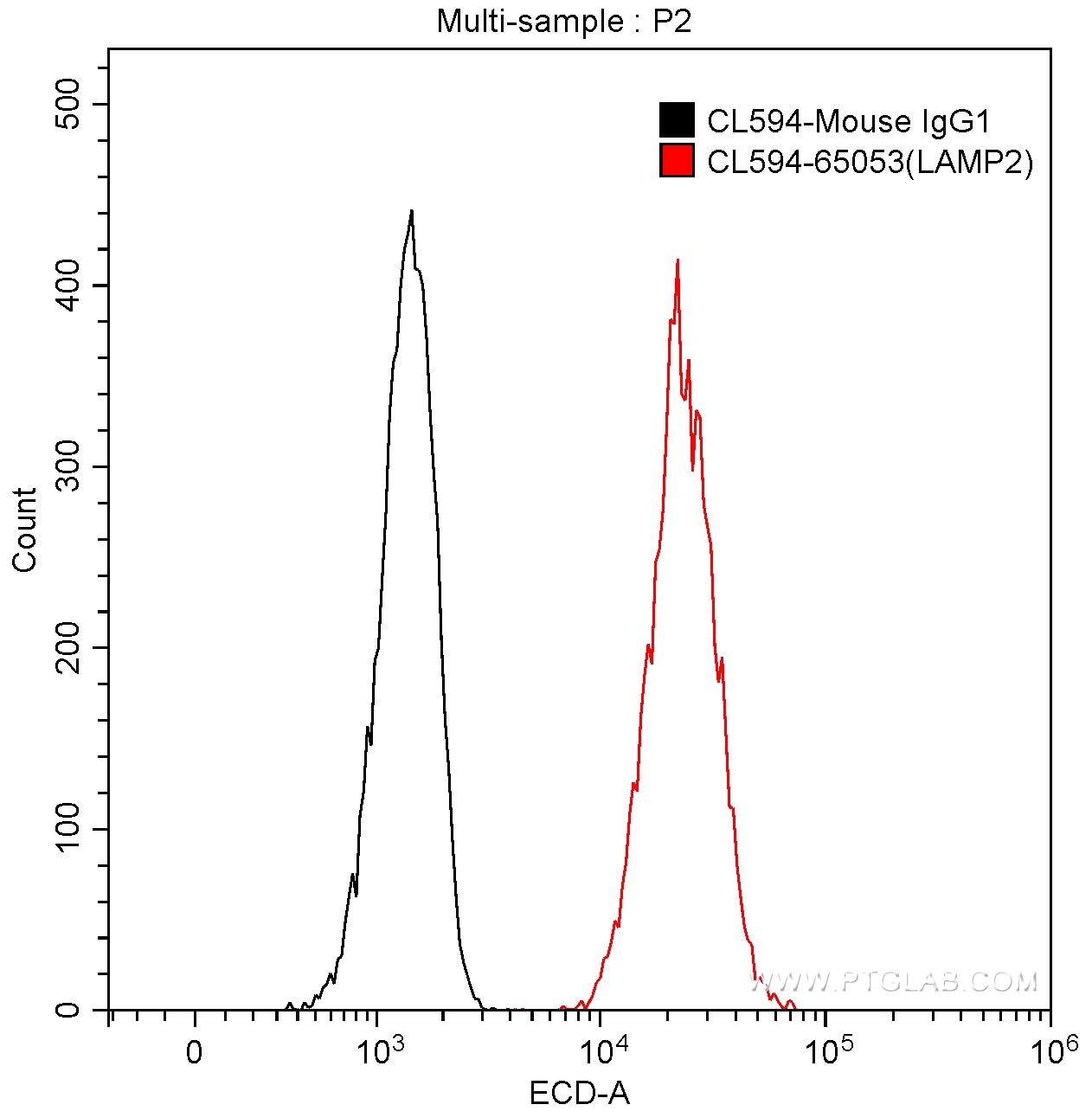 CD107b / LAMP2