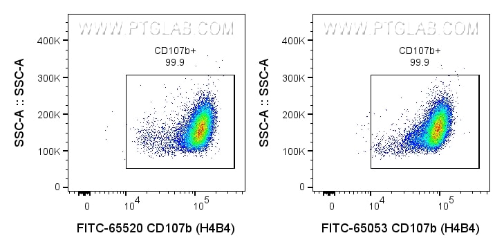 CD107b / LAMP2