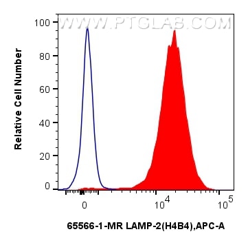 Flow cytometry (FC) experiment of Jurkat cells using Anti-Human CD107b / LAMP2 (H4B4) Mouse Recombinant (65566-1-MR)