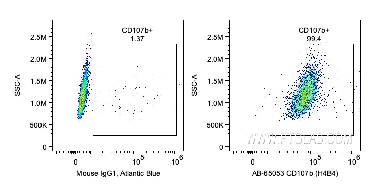 Flow cytometry (FC) experiment of HeLa cells using Atlantic Blue™ Anti-Human CD107b / LAMP2 (H4B4) (AB-65053)
