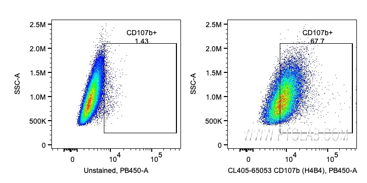 Flow cytometry (FC) experiment of HeLa cells using CoraLite® Plus 405 Anti-Human CD107b / LAMP2 (H4B4 (CL405-65053)