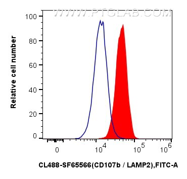 Flow cytometry (FC) experiment of Jurkat cells using CoraLite® Plus 488 Anti-Human CD107b / LAMP2 Mouse (CL488-SF65566)