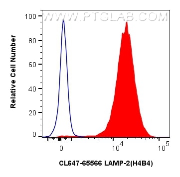 CD107b / LAMP2