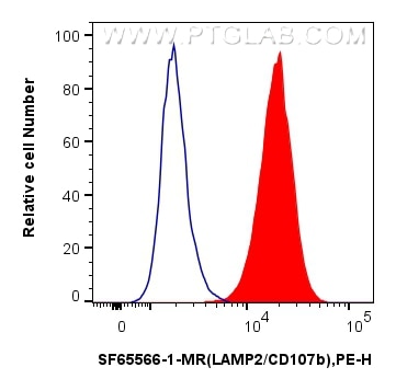 Flow cytometry (FC) experiment of Jurkat cells using Anti-Human CD107b / LAMP2 Mouse scFv Antibody (SF65566-1-MR)