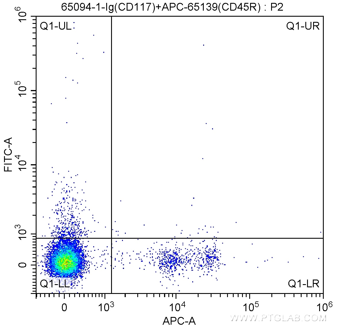 Flow cytometry (FC) experiment of mouse bone marrow cells using Anti-Mouse CD117 (c-Kit) (ACK2) (65094-1-Ig)