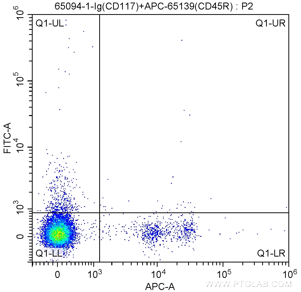 FC experiment of mouse bone marrow cells using 65094-1-Ig